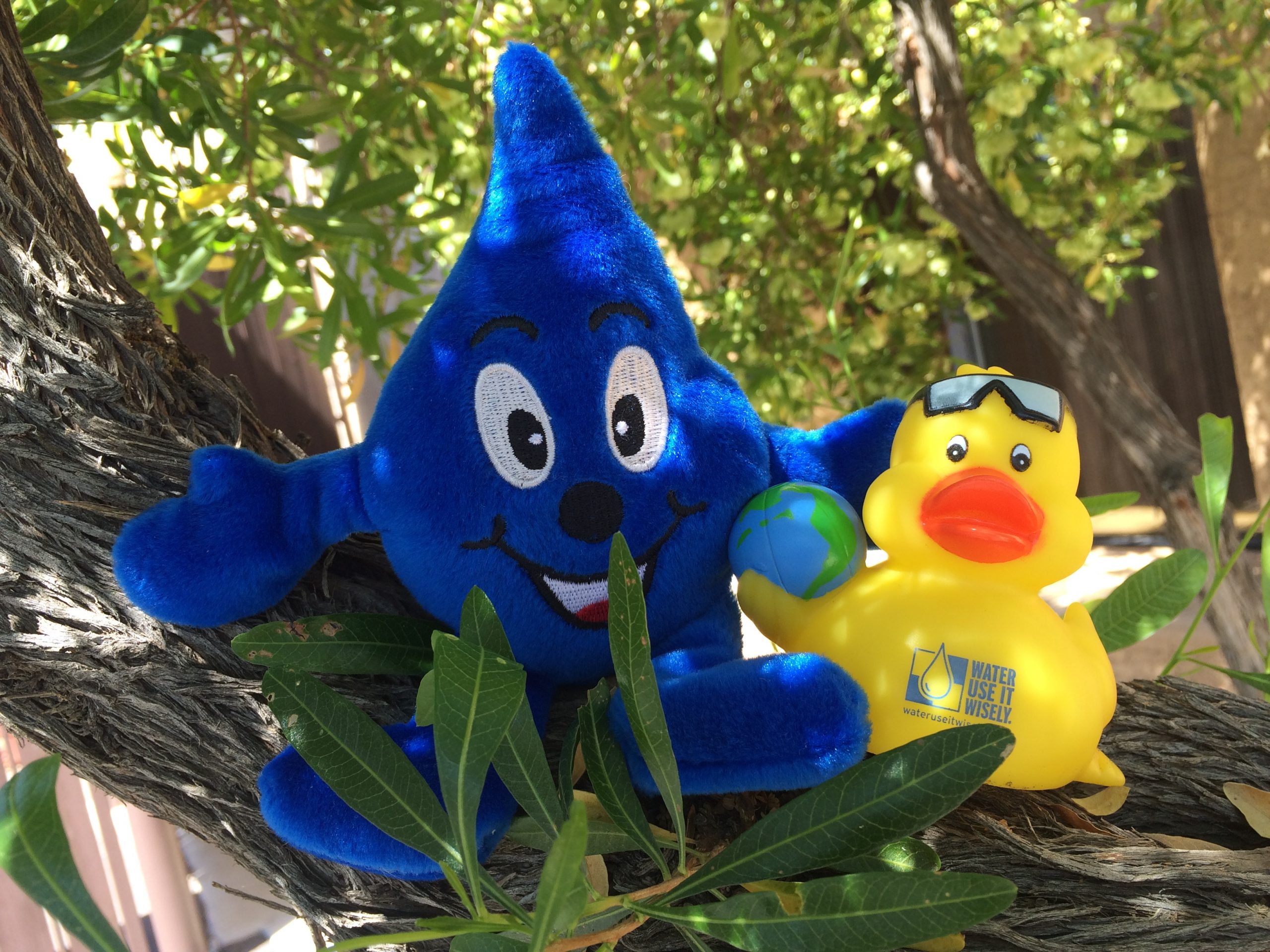 Wayne Drop and Earth Day Duckie