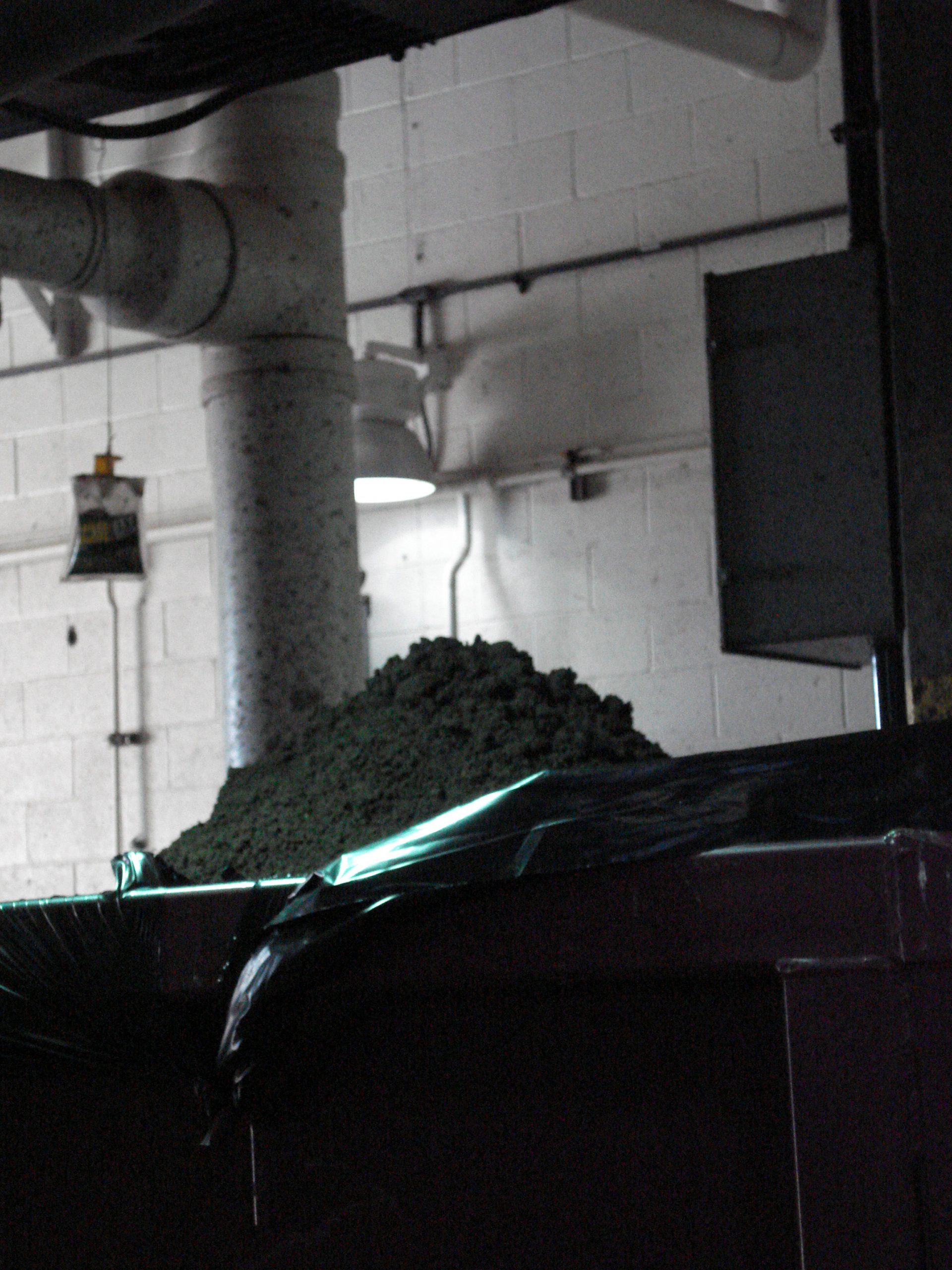 biosolids