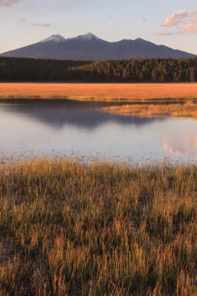 The San Francisco Peaks viewed across Rogers Lake. Courtesy of Bronze Black.