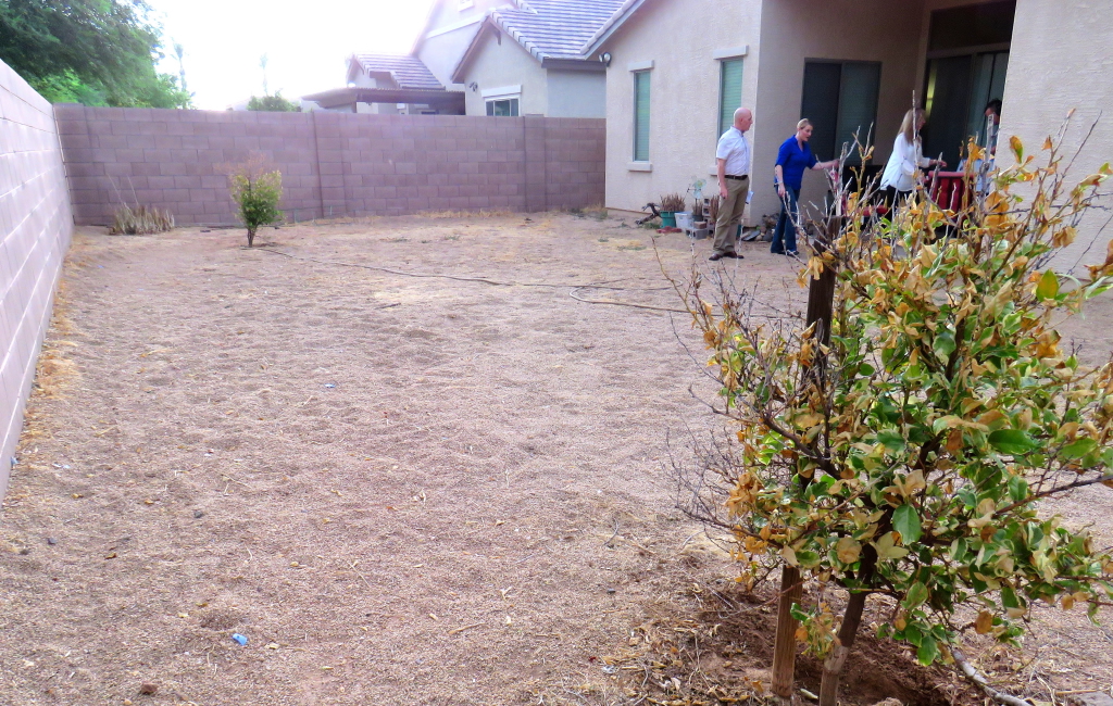 Lisa's drab backyard before it was transformed. Drab to Fab: Lisa's drab backyard before it was transformed.