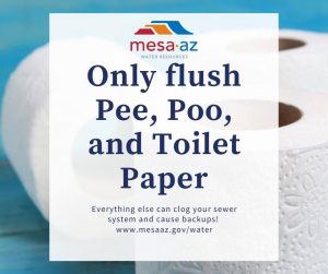 What to flush