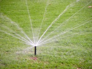 Convert to Xeriscape: Save time, money and water by not having to water and mow your lawn. Convert to Xeriscape: Grass needs two to three times more water than a Xeriscape landscape.