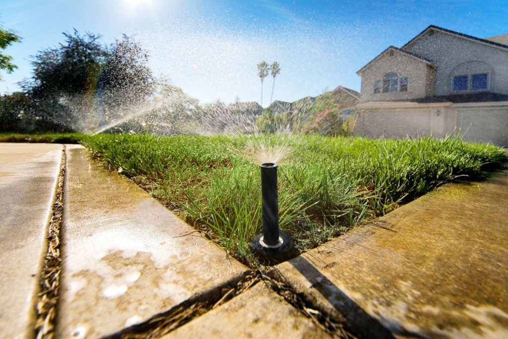 five landscape mistakes