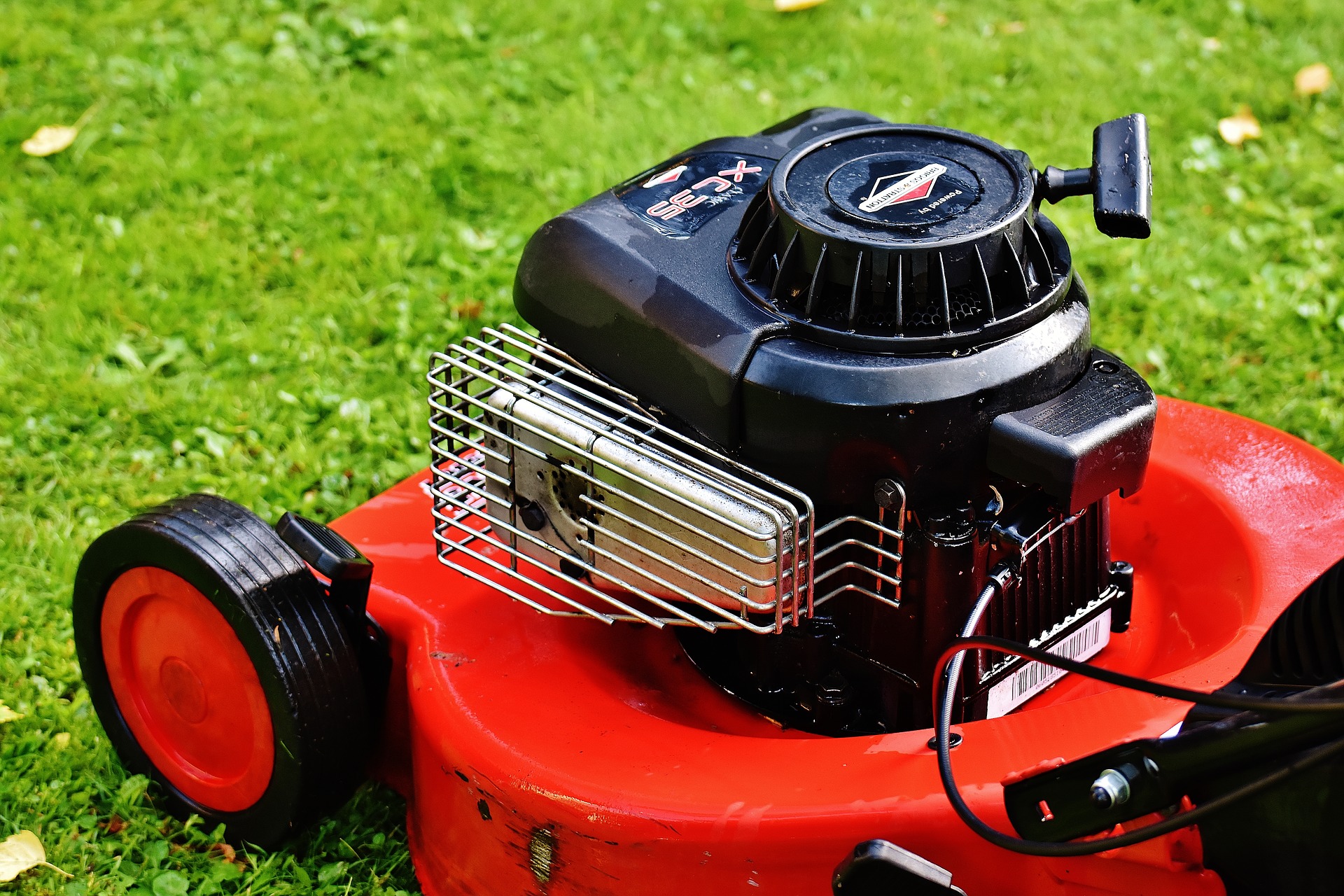 Winter Lawn: Red Lawn Mower 