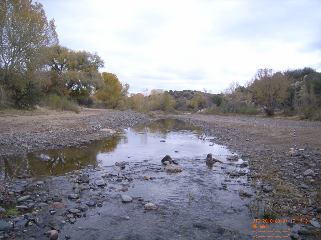 River Bend riparian area pre-restoration