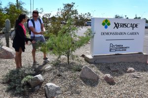 Mesa Community College Xeriscape Demonstration Garden sign Mesa Community College Xeriscape Demonstration Garden sign