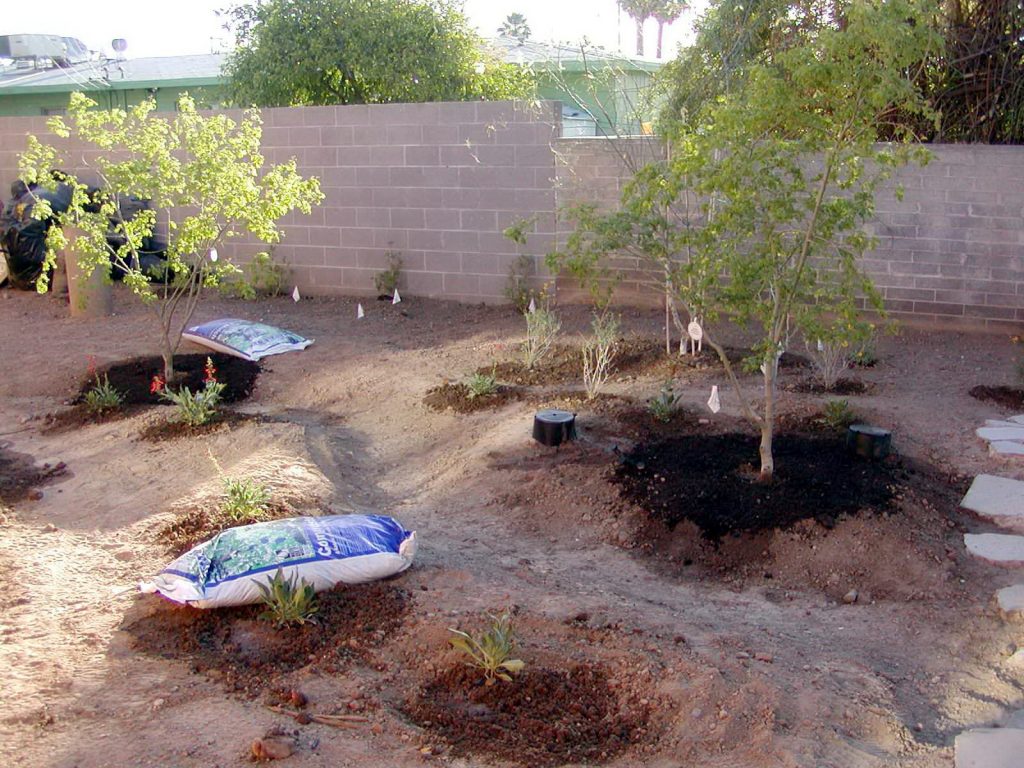 planting photo with mulch