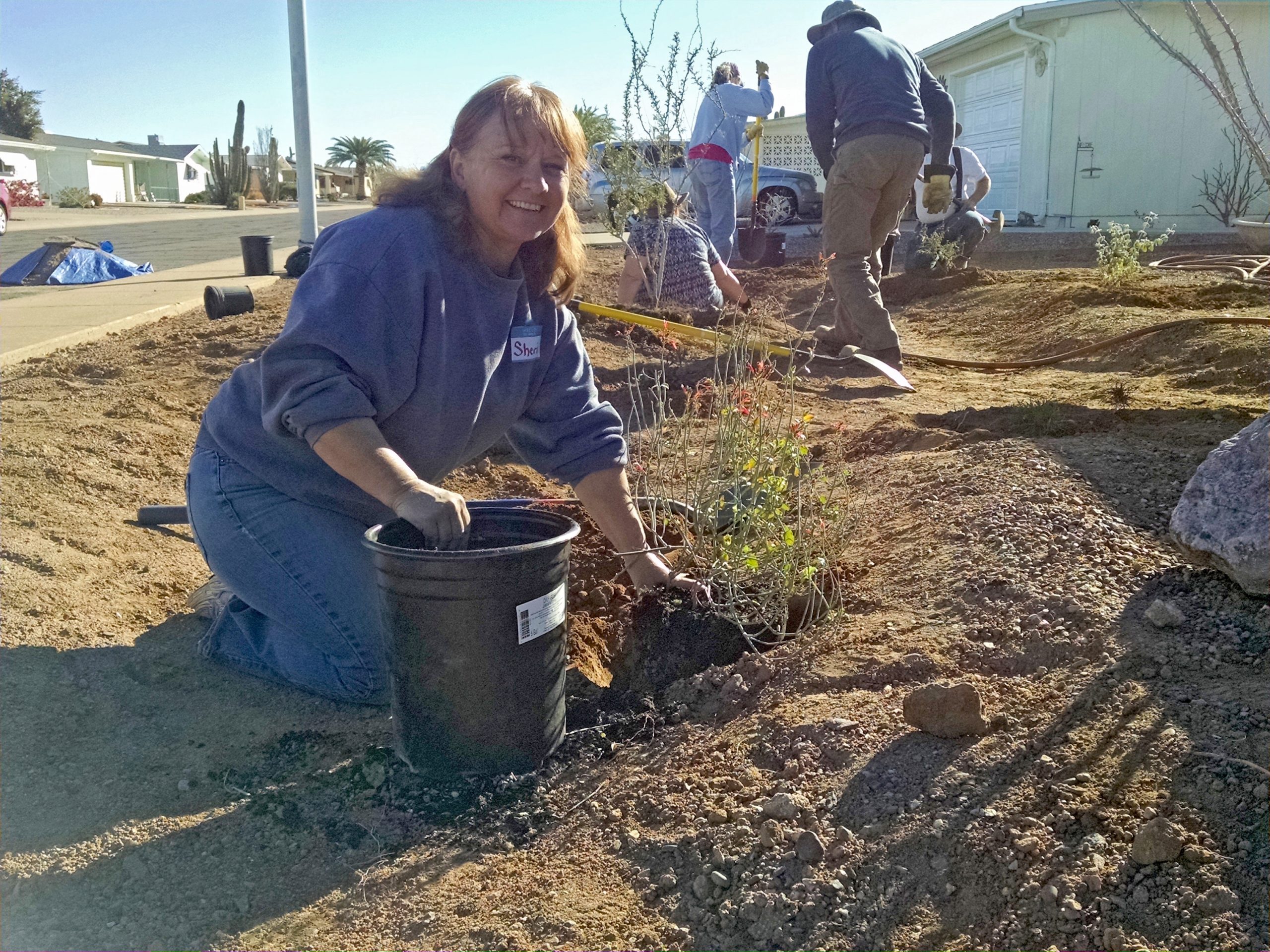Rainwater: Sheri digging and planting a desert-adapted plant.