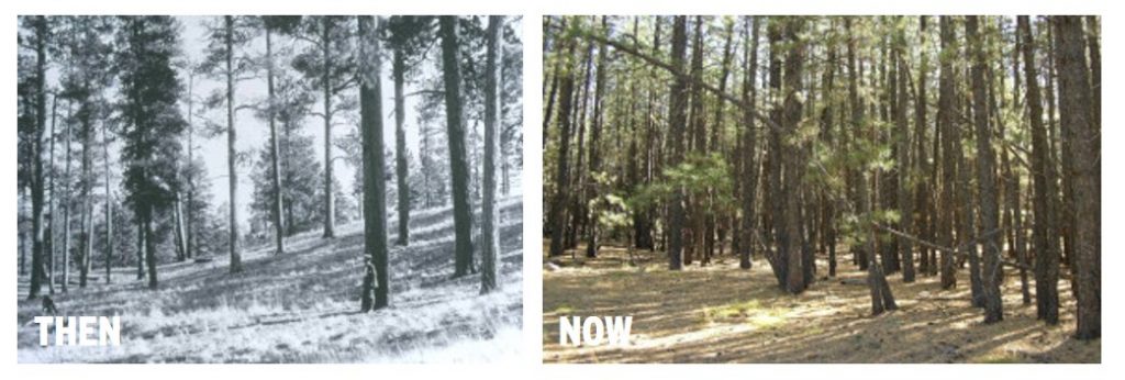 SRP-Then-Now-1