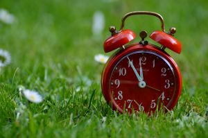 Red clock sitting in the grass Overseeding takes time, money, energy and lots of extra water. Consider skipping your winter lawn this year.