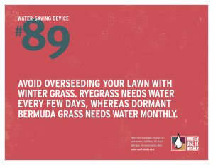 water-saving-tip-overseeding-winter-lawn