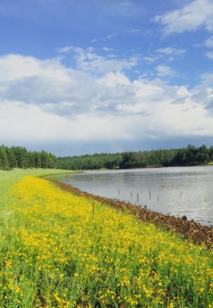 Upper Lake Mary