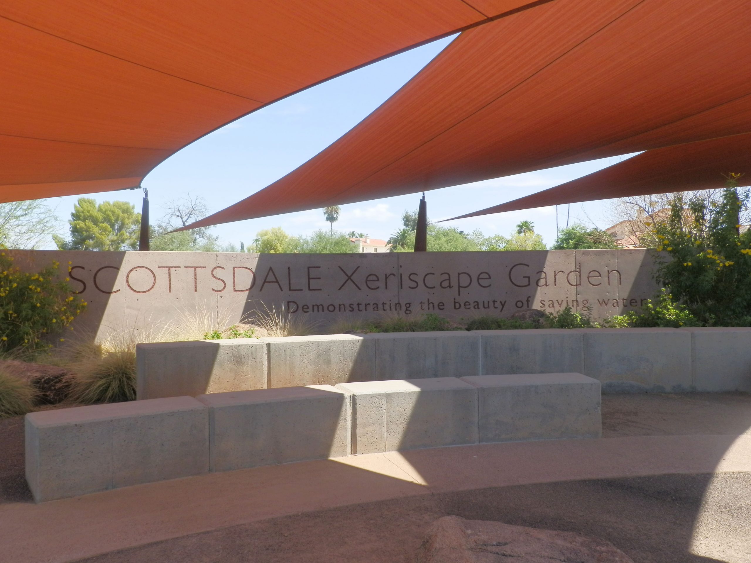 Scottsdale Xeriscape Garden
