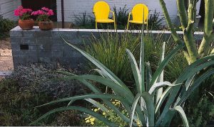 Hardscape can be simple and inexpensive. This landscape features a simple block wall and pathway and inexpensive seating. Photo: Charles Mann