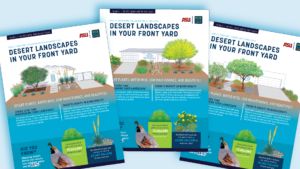 "Desert Landscaping IN Your Front Yard" Design Guides