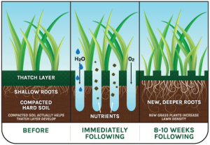 Aerate Lawn Care